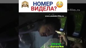 Номер заметила?