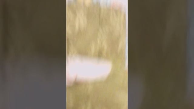 ВИТЯ НЕ ХОЧЕТ СО МНОЙ ИГРАТЬ В КАРТЫ