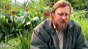 БАДАН ТОЛСТОЛИСТЫЙ - ЛЕЧЕБНЫЕ СВОЙСТВА