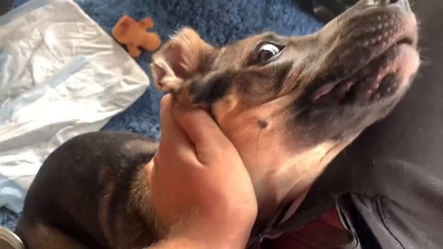 В рейс с Напарником))) смотреть онлайн