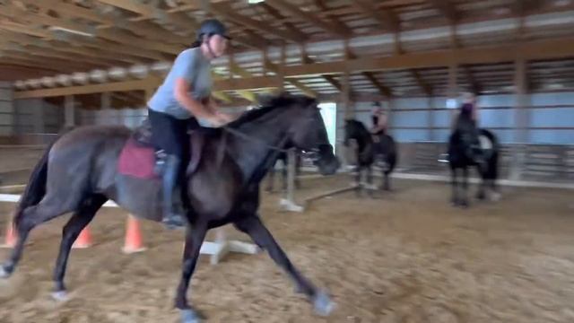 Bombita schooling 3’6-4’3” смотреть онлайн