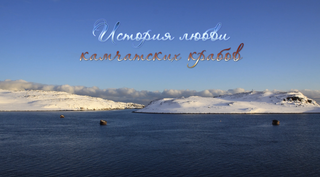 Нерест камчатского краба в Баренцевом море смотреть онлайн