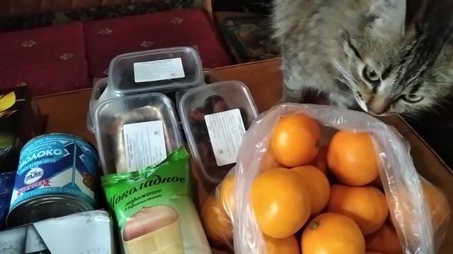 Моя сладкая жизнь и конфетное настроениеl Мандаринки, кофе, чай и много всегоl Кошечки помощницы смотреть онлайн