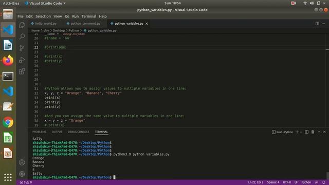 #4 Python Tutorial | Python Variables | define variable смотреть онлайн