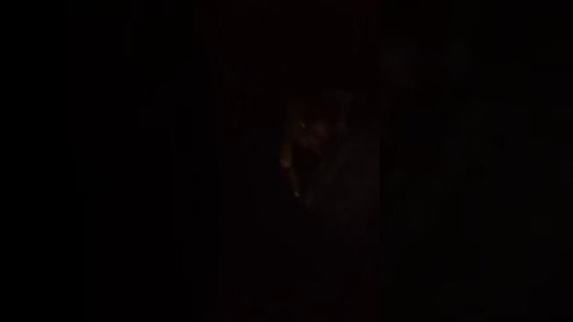 Давай прям по луже, братан смотреть онлайн