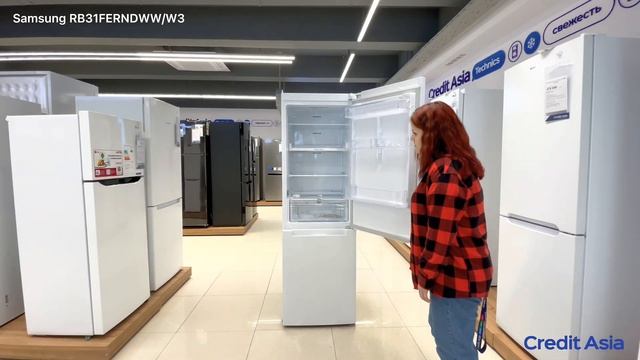 048 Холодильник Samsung RB31FERNDWW/W3 смотреть онлайн