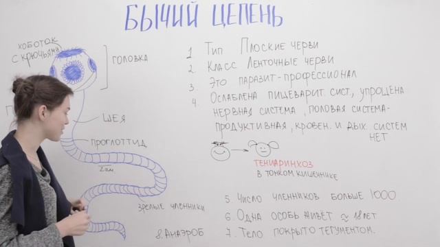 Бычий цепень смотреть онлайн