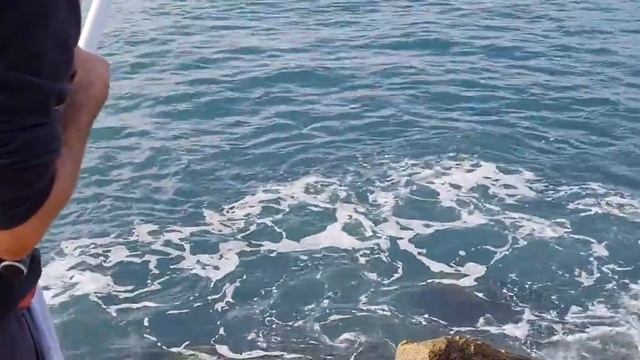 Морская рыбалка. Поплавочная снасть. Много трудовой рыбы. смотреть онлайн