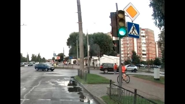 Очень умная собака смотреть онлайн