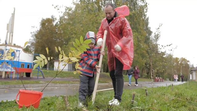 MCM садят помогают садить деревья! смотреть онлайн