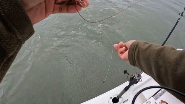 The Best Way to Catch Monster Sheepshead - (Freeport Texas Nov. 18, 2022) смотреть онлайн