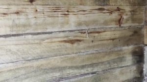 первый запуск печки Ермак 20