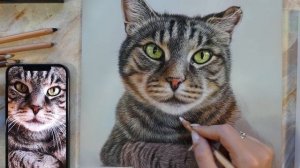 РИСУЕМ ШЕРСТЬ КОТА