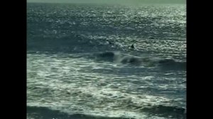 BILLY HERRINGTON'S SUMMER TROPHIES [РУССКАЯ ОЗВУЧКА] - ЛЕТНИЕ ТРОФЕИ БИЛЛИ ХЕРРИНГТОНА