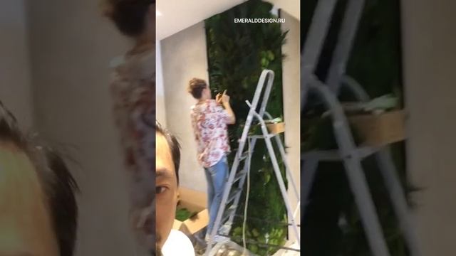 Зелёное Панно с элементами стабилизированного мха и растений Green Kim смотреть онлайн