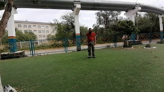 Странные страховки айкидо вперед (Aikido Zempo Ukemi) смотреть онлайн