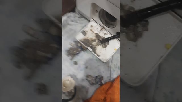 Стиральная машина не сливает воду , не отжимает. Ремонт стиральных машин Набережные Челны. смотреть онлайн