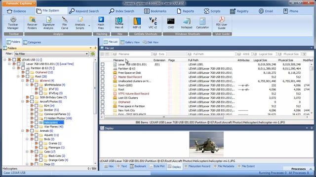Forensic Explorer Text Filter