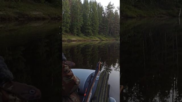 ?Водомет "Карась" по перекатам, утка спасает птенцов #shorts смотреть онлайн