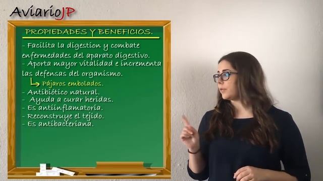 ALOE VERA para CANARIOS y PAJAROS EXOTICOS ? SABILA para PAJAROS | REMEDIOS CASEROS para CANARIOS смотреть онлайн