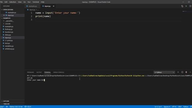 Python Lesson 7 Input function смотреть онлайн