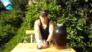 осветление сливового вина хитозаном