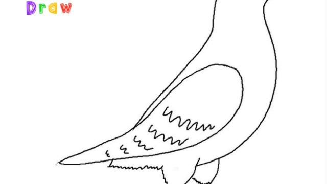 How to Draw a Dove Easy Step by Step смотреть онлайн