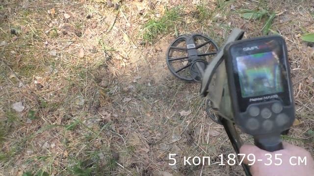 Тест на полигоне - Nokta Makro Simplex plus смотреть онлайн