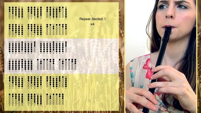 Sting - Fields Of Gold | Tin Whistle Tabs Tutorial смотреть онлайн