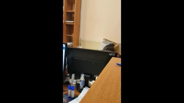 Строительный Поиск