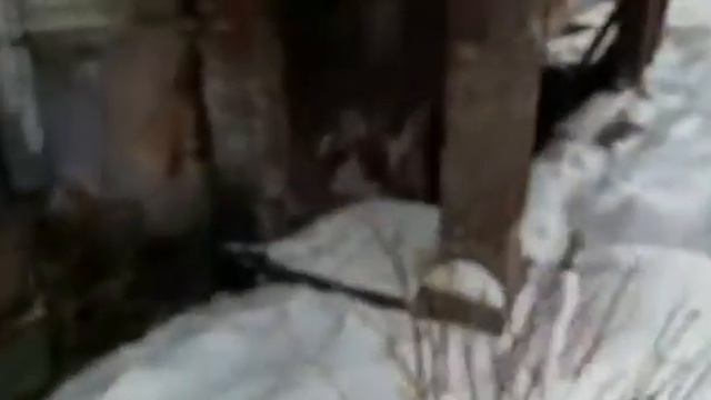 Калуга сегодня смотреть онлайн