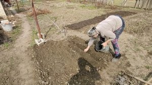 20230324 посадила лук кущевку на зелень