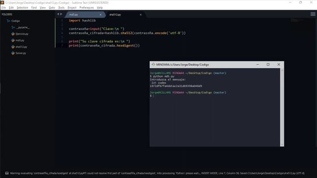 Jugando con Python. Uso de hashes Criptográficos mediante el módulo HashLib смотреть онлайн