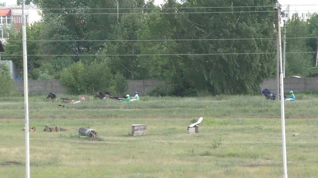 6 Раменский ипподром 01.06.2019 - Лошади рожд. 2015г. рысистых пород смотреть онлайн