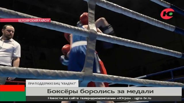 В Белоярском районе прошло зональное первенство по боксу смотреть онлайн