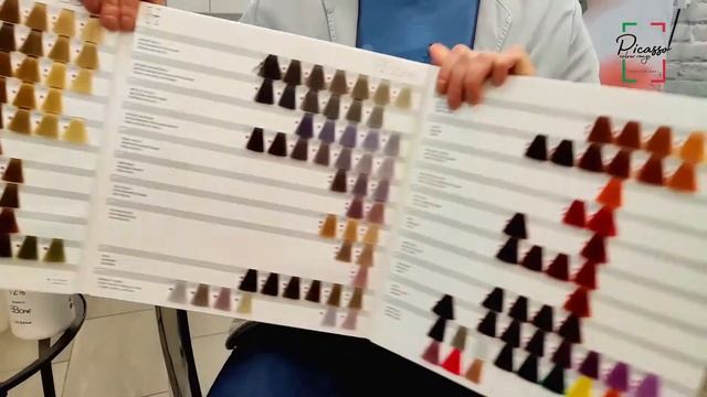 Палитра Picasso