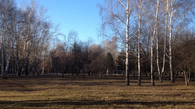 Утро в Новосибирске.Весна.Поют птицы.Про Новосибирск. смотреть онлайн