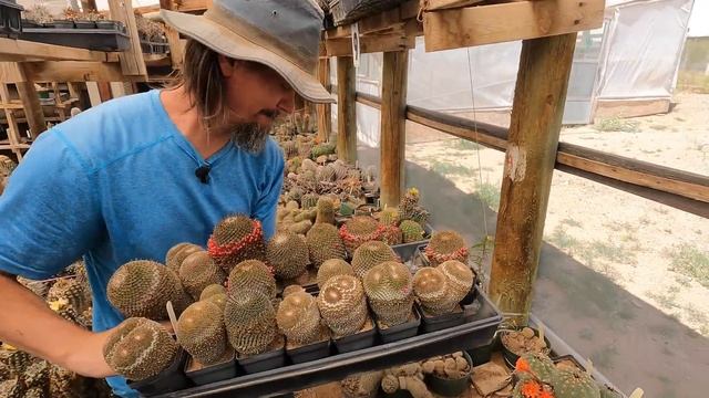 UNREAL GREENHOUSE TOUR: MESA GARDEN, NEW MEXICOS ATACAMA