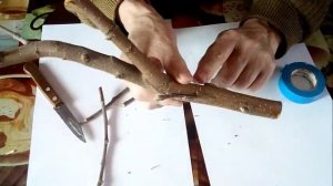 Прививка садовых деревьев. Самый простой и надежный способ прививки яблонь.