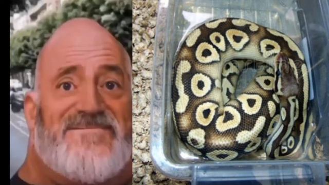 Твоё первое животное это... смотреть онлайн