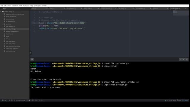 variables, Strings and I/O смотреть онлайн