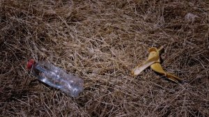 Правила поведения в заповеднике.mp4