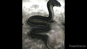 Всё про василиска