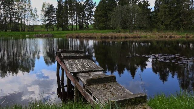 Landscape SONY PXW-X70 XDCAM смотреть онлайн