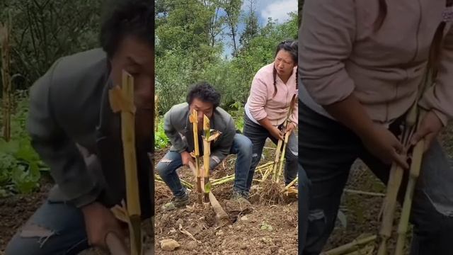 Работник смотреть онлайн