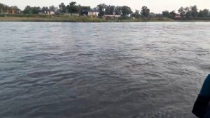 Удачно порыбачили, настроение прекрасное, наловили усача на реке Терек