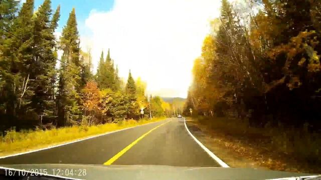 Осень в Канаде. Ручное кормление диких зверей. смотреть онлайн