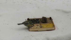 Что едят воробьи: особенности питания птенцов и взрослых птиц | Что положить в кормушку воробьям