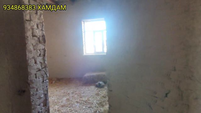АРЗАН БАХАДА ЖАЙ САТЫЛАДЫ ТЕЗ КОРИН смотреть онлайн