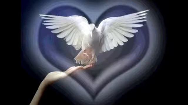 Schubert. Schwanengesang. Die Taubenpost. Volodymyr Chibisov смотреть онлайн